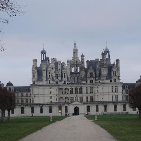Gite Le Cerf Solognot Proche Chateau Chambord, Lamotte Beuvron Neung-sur-Beuvron Экстерьер фото