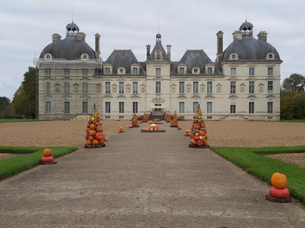 Gite Le Cerf Solognot Proche Chateau Chambord, Lamotte Beuvron Neung-sur-Beuvron Экстерьер фото